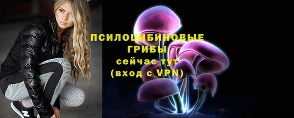 ALPHA-PVP Покров
