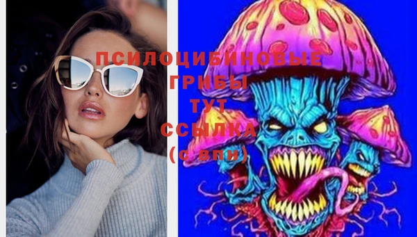 дмт Абаза