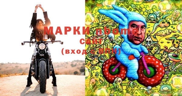 индика Покачи