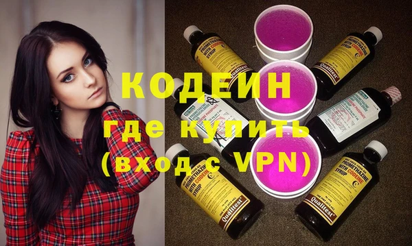 индика Покачи