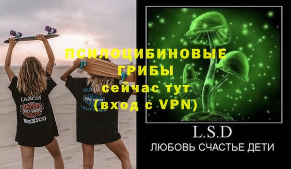 дмт Абаза